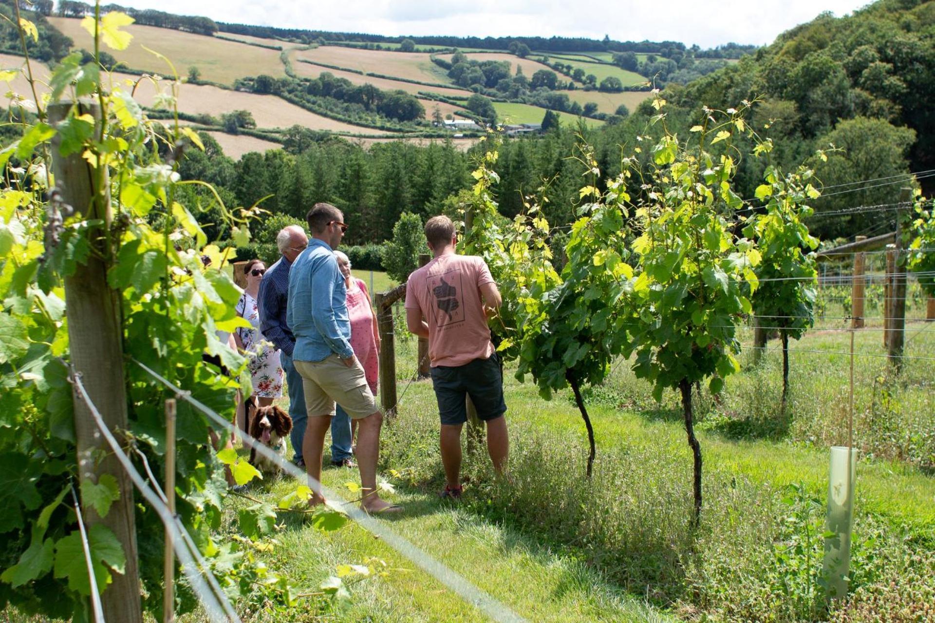 Couples Retreat In Beautiful West Devon Countryside Villa Broadwoodwidger Ngoại thất bức ảnh