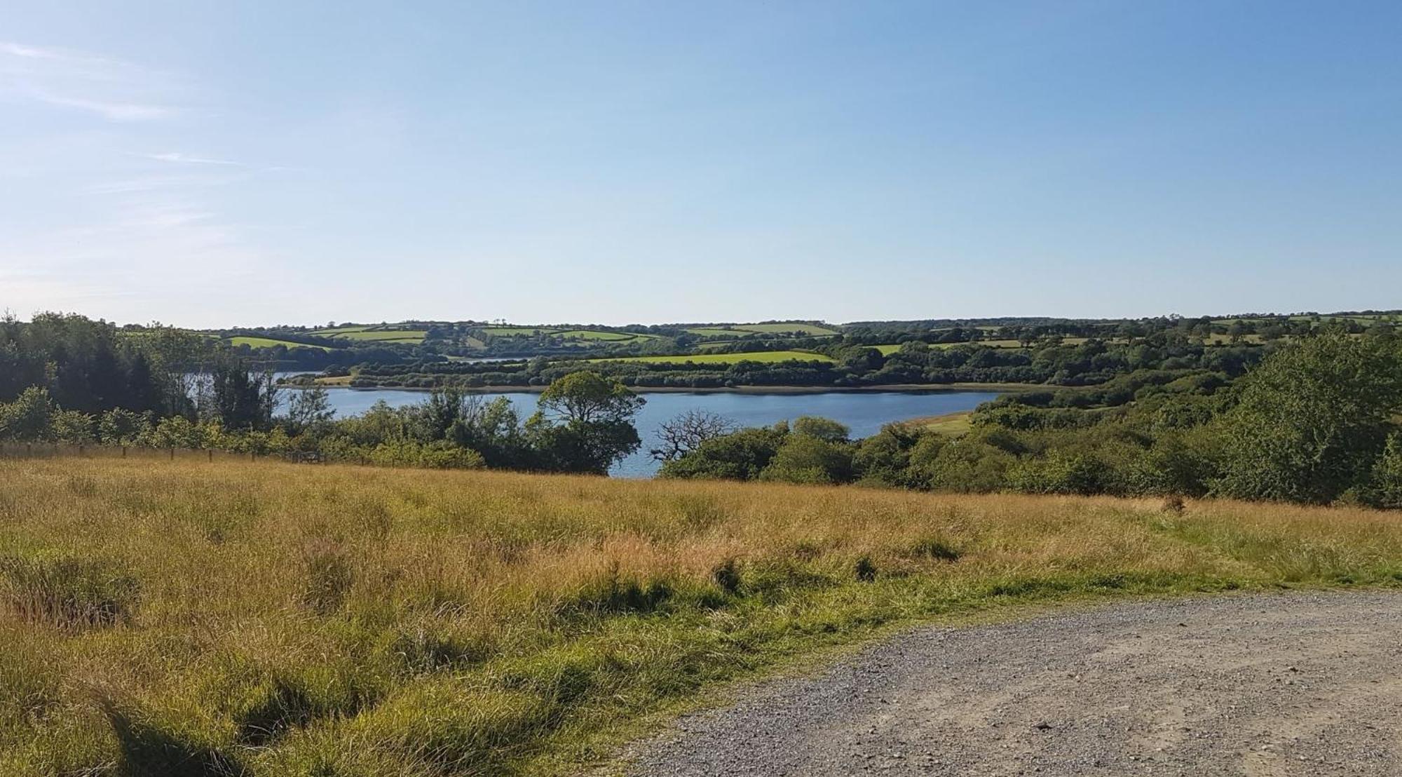 Couples Retreat In Beautiful West Devon Countryside Villa Broadwoodwidger Ngoại thất bức ảnh